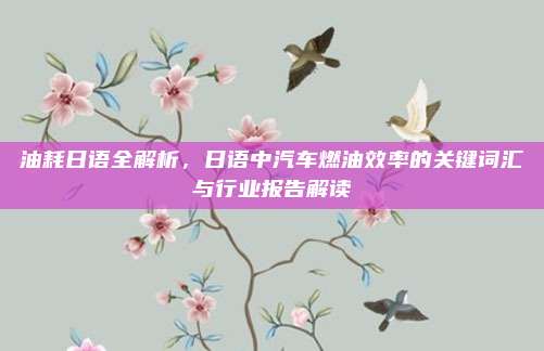 油耗日语全解析,日语中汽车燃油效率的关键词汇与行业报告解读