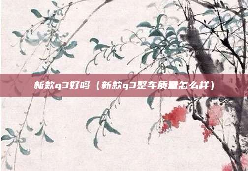 新款q3好吗（新款q3整车质量怎么样）