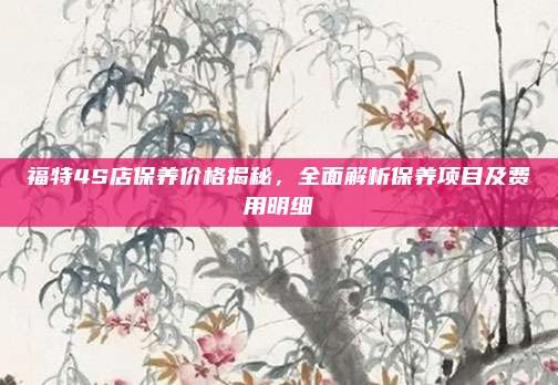 福特4S店保养价格揭秘,全面解析保养项目及费用明细