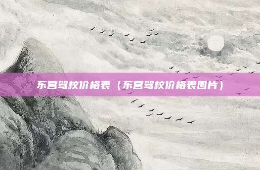 东营驾校价格表(东营驾校价格表图片)