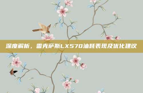 深度解析,雷克萨斯LX570油耗表现及优化建议