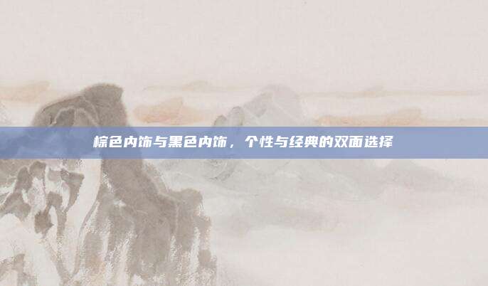 棕色内饰与黑色内饰,个性与经典的双面选择