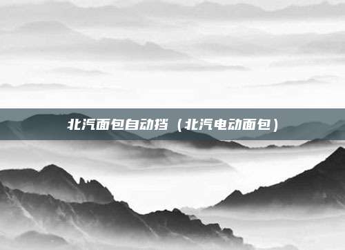 北汽面包自动挡（北汽电动面包）