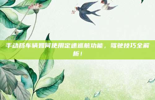 手动挡车辆如何使用定速巡航功能,驾驶技巧全解析!