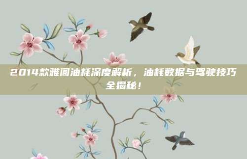 2014款雅阁油耗深度解析,油耗数据与驾驶技巧全揭秘!