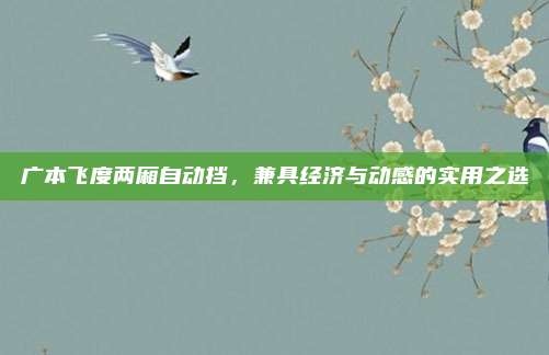 广本飞度两厢自动挡,兼具经济与动感的实用之选