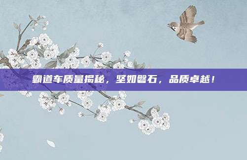 霸道车质量揭秘,坚如磐石,品质卓越!