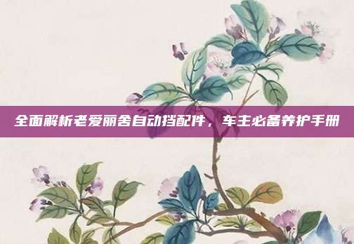 全面解析老爱丽舍自动挡配件，车主必备养护手册