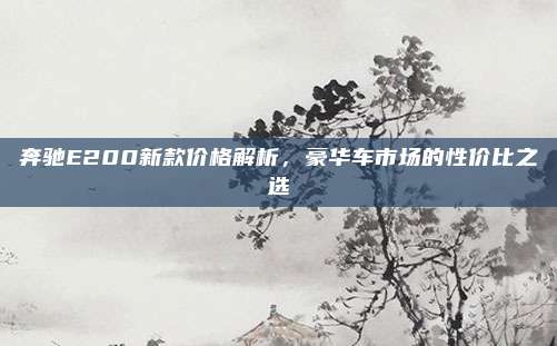 奔驰E200新款价格解析,豪华车市场的性价比之选