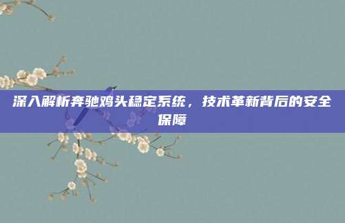 深入解析奔驰鸡头稳定系统,技术革新背后的安全保障