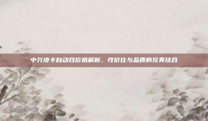 中兴皮卡自动挡价格解析，性价比与品质的完美结合