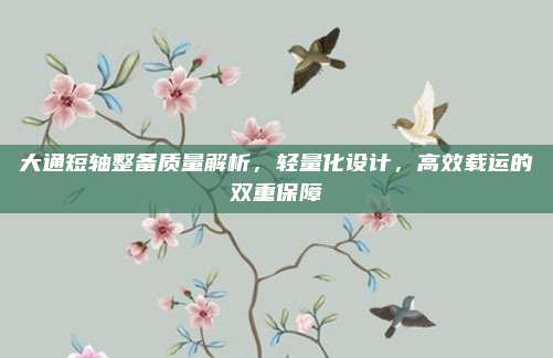 大通短轴整备质量解析,轻量化设计,高效载运的双重保障