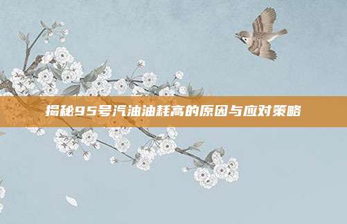 揭秘95号汽油油耗高的原因与应对策略