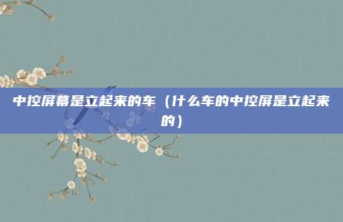 中控屏幕是立起来的车（什么车的中控屏是立起来的）