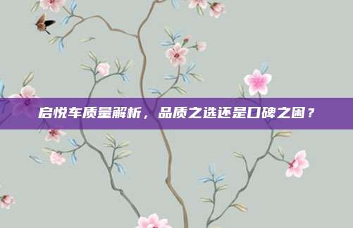 启悦车质量解析,品质之选还是口碑之困?