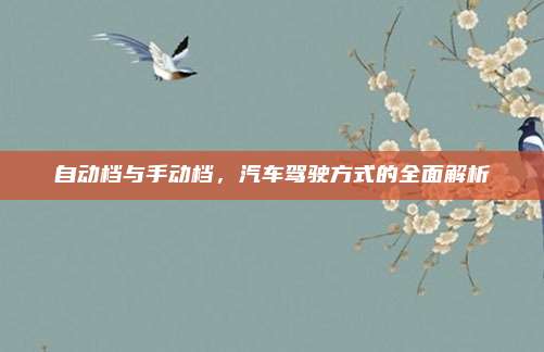 自动档与手动档,汽车驾驶方式的全面解析
