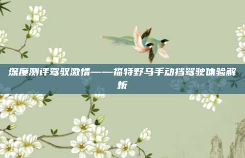 深度测评驾驭激情——福特野马手动挡驾驶体验解析