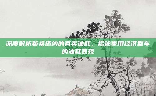 深度解析新桑塔纳的真实油耗,揭秘家用经济型车的油耗表现