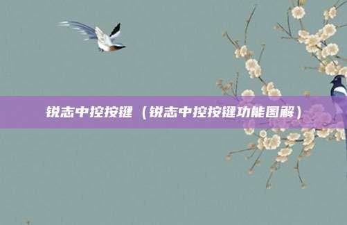 锐志中控按键（锐志中控按键功能图解）