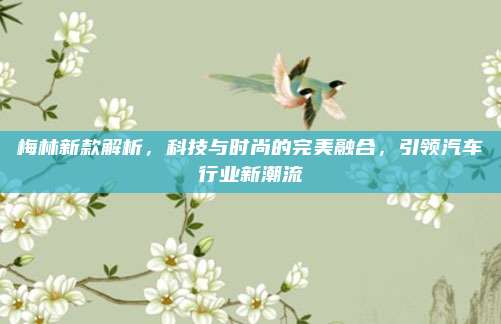 梅林新款解析，科技与时尚的完美融合，引领汽车行业新潮流