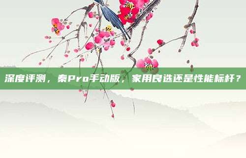 深度评测,秦Pro手动版,家用良选还是性能标杆?