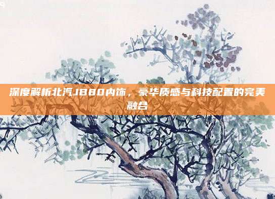 深度解析北汽JB80内饰,豪华质感与科技配置的完美融合