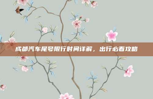 成都汽车尾号限行时间详解，出行必看攻略