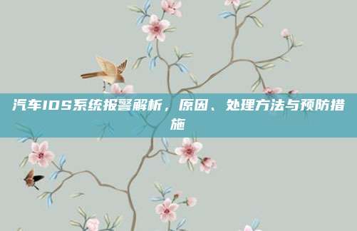 汽车IDS系统报警解析,原因、处理方法与预防措施