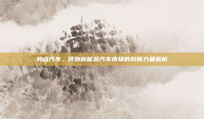 豹点汽车，领跑新能源汽车市场的创新力量解析