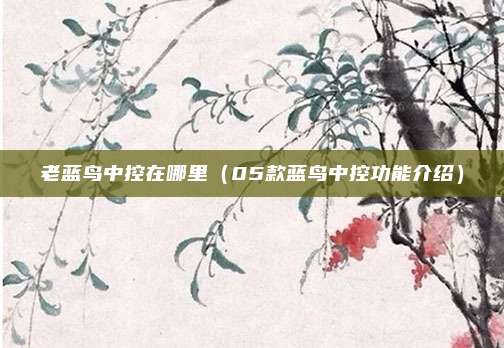 老蓝鸟中控在哪里（05款蓝鸟中控功能介绍）