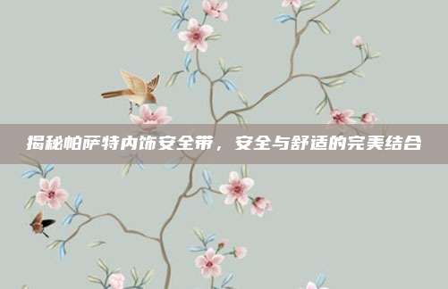 揭秘帕萨特内饰安全带,安全与舒适的完美结合