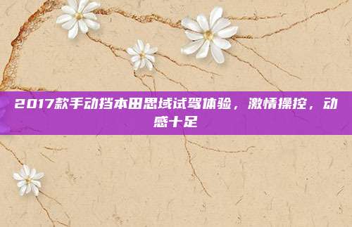 2017款手动挡本田思域试驾体验，激情操控，动感十足