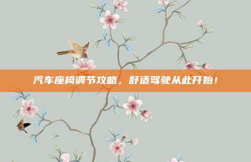 汽车座椅调节攻略,舒适驾驶从此开始!
