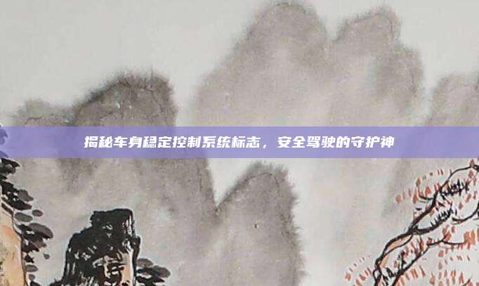揭秘车身稳定控制系统标志,安全驾驶的守护神