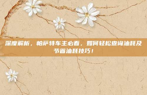深度解析,帕萨特车主必看,如何轻松查询油耗及节省油耗技巧!