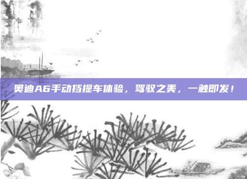 奥迪A6手动挡提车体验,驾驭之美,一触即发!