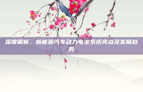 深度解析，新能源汽车动力电池系统亮点及发展趋势