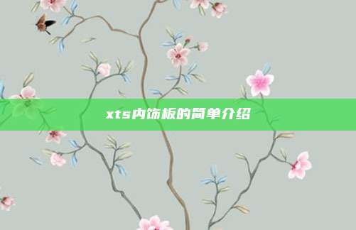 xts内饰板的简单介绍