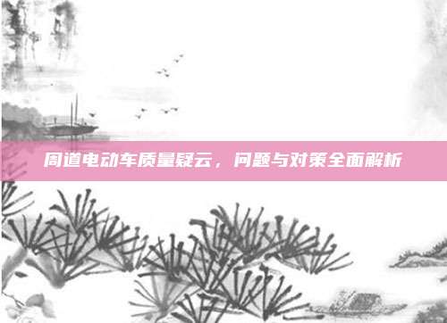 周道电动车质量疑云,问题与对策全面解析