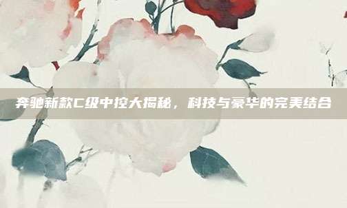 奔驰新款C级中控大揭秘,科技与豪华的完美结合