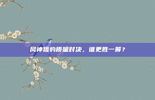 风神猎豹质量对决，谁更胜一筹？