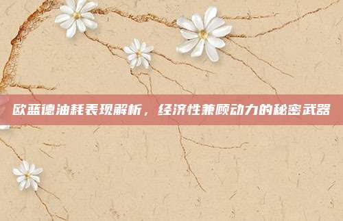 欧蓝德油耗表现解析,经济性兼顾动力的秘密武器