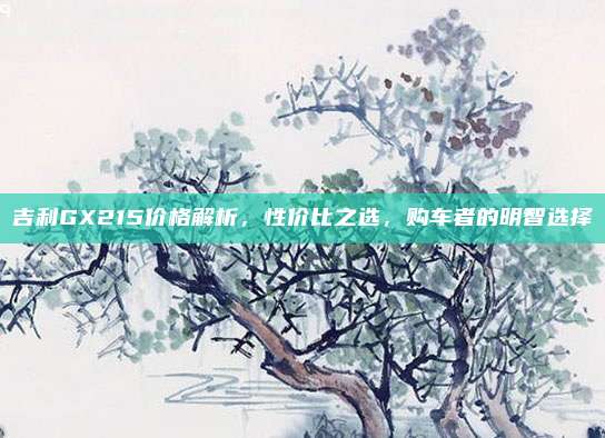 吉利GX215价格解析，性价比之选，购车者的明智选择