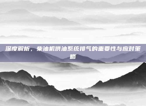 深度解析,柴油机供油系统排气的重要性与应对策略