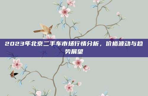 2023年北京二手车市场行情分析,价格波动与趋势展望