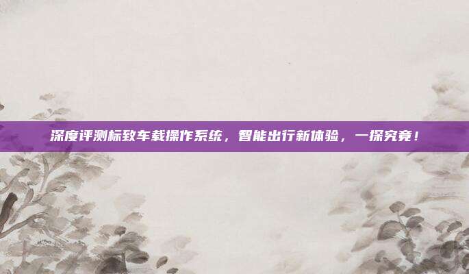 深度评测标致车载操作系统，智能出行新体验，一探究竟！