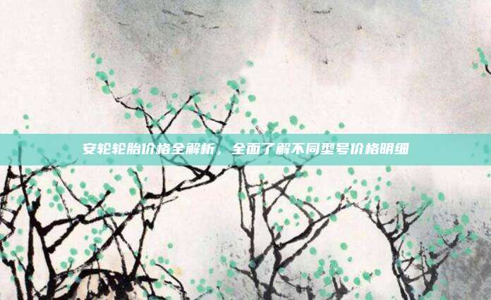 安轮轮胎价格全解析,全面了解不同型号价格明细