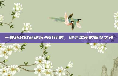 三菱新款欧蓝德远光灯评测,照亮黑夜的智慧之光