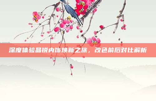 深度体验晶锐内饰焕新之旅,改色前后对比解析