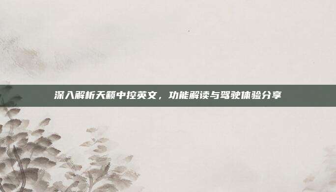 深入解析天籁中控英文,功能解读与驾驶体验分享
